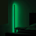RGB Color Changing Standing Floor Lamp