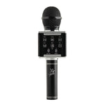 CHAMP Deluxe Karaoke Microphone Speaker